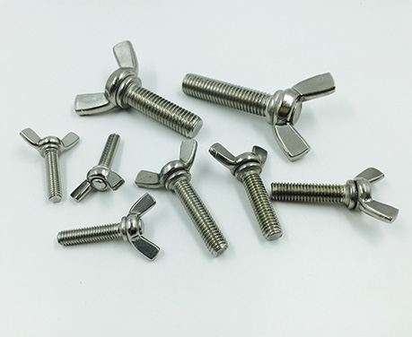 Stainless steel Wing bolt