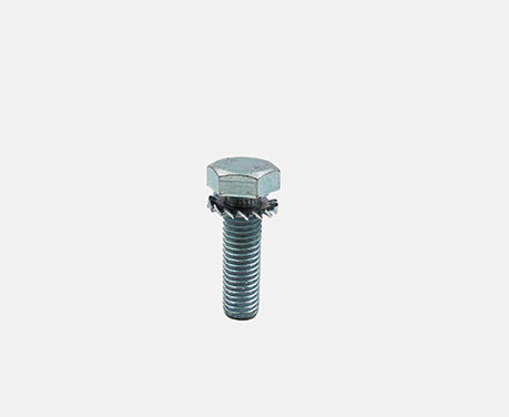Bolt with Tooth Lock Washer